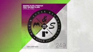 Marvin Aloys & PvssyCat feat. DJ Roland Clark - Spiritual Thing (Sebb Junior Remix)