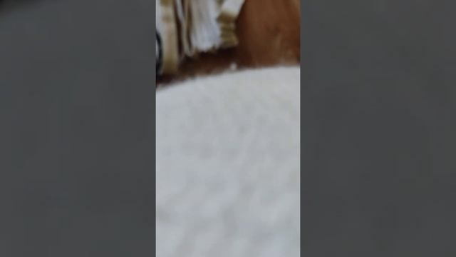 Пожарный рукав в качестве протектора смотреть онлайн