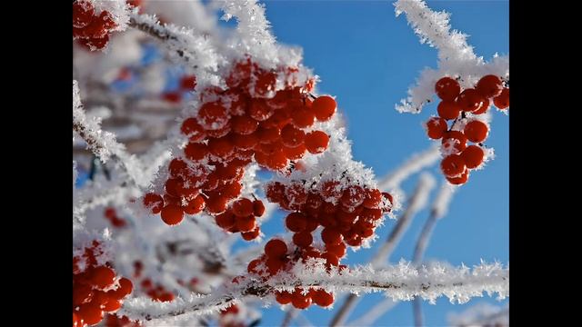 Барышня-осень. смотреть онлайн