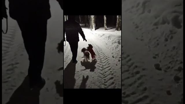 Жаль, что далеко друг от друга. 💖 смотреть онлайн