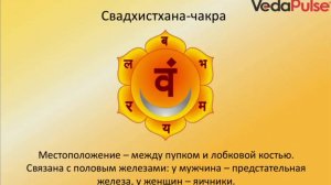 2. Свадхистхана-чакра