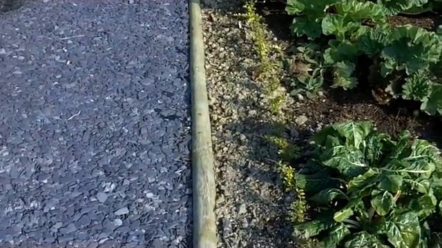 Sophie's Garden No6 March 2011 смотреть онлайн