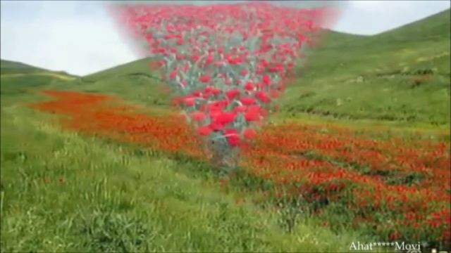 Tajikistan. nature Tajikistan.  Природа Таджикистана