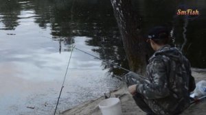 Ловля канальных сомиков на Десногорском водохранилище. 17.06.2014г