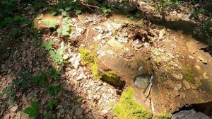 поиск клада Перстень