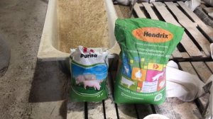 СТАРТОВЫЙ КОМБИКОРМ ДЛЯ ПОДСОСНЫХ ПОРОСЯТ