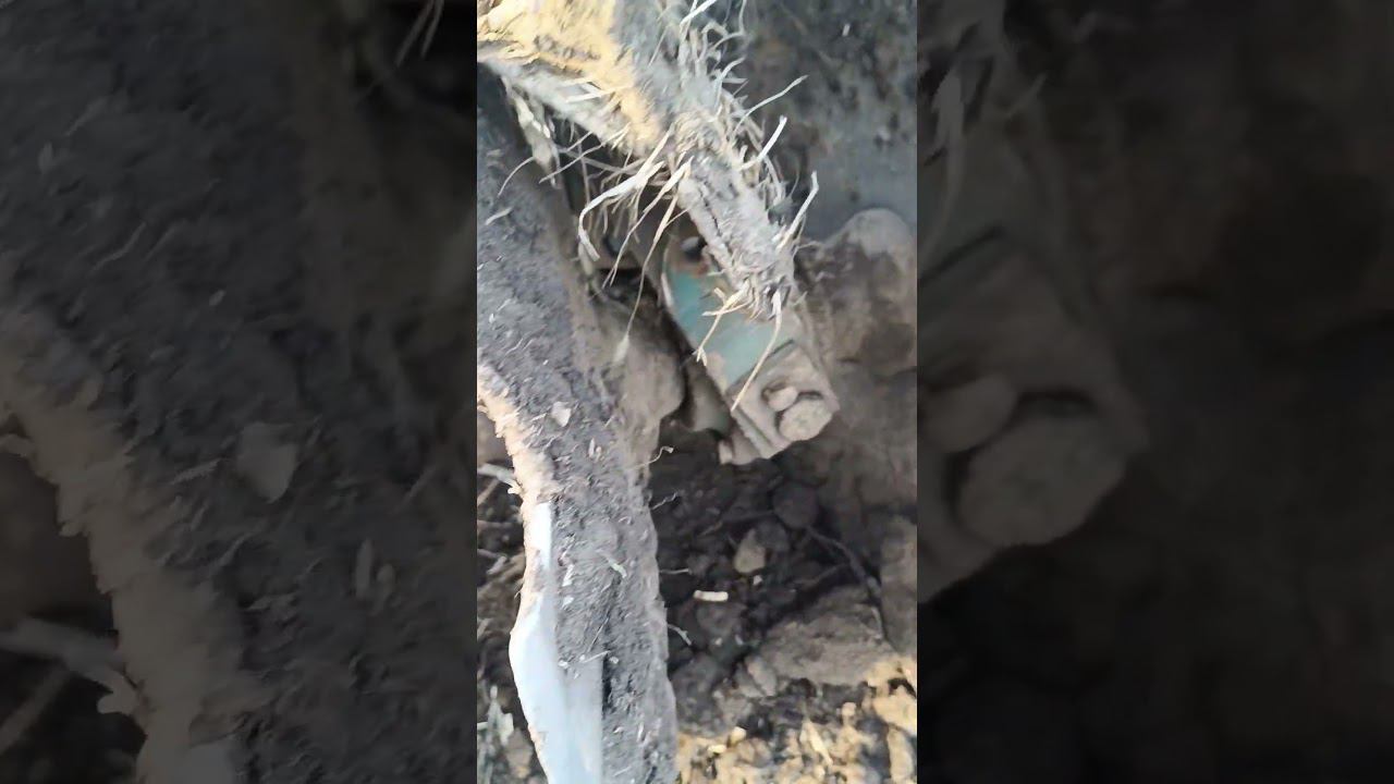 28 апреля 2024 г. смотреть онлайн