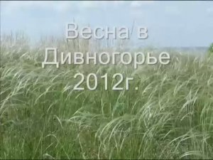 Дивногорье 2012 весна