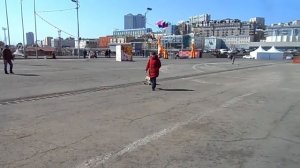 Собака-скейтер. Бульдог  катается на скейте.  Владивосток.