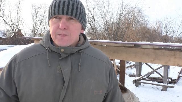 СЕНБЕРНАРЫ. Затраты на содержания. смотреть онлайн