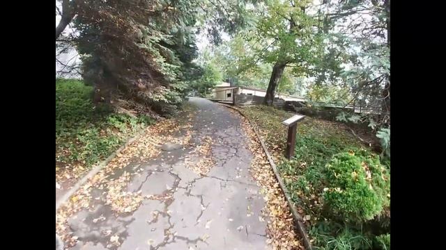 Калининградский зоопарк смотреть онлайн