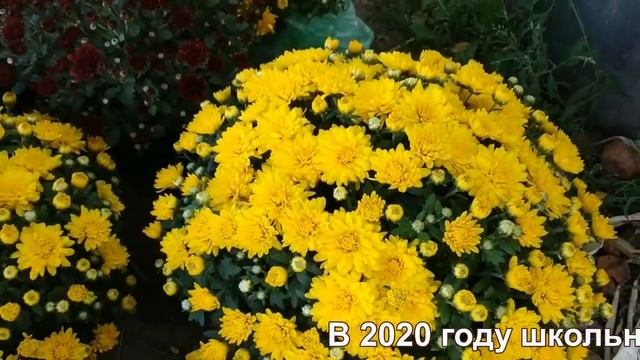 Презентация учебной бизнес-компании "ЦветОК" ГУО "Голынковская средняя школа" смотреть онлайн