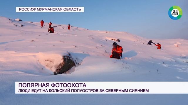 Полярная фотоохота