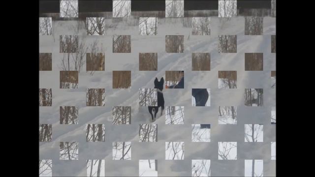 Поездка на лыжах Спирово смотреть онлайн