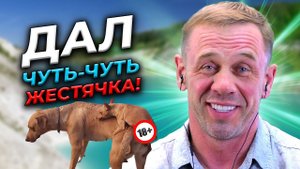 УМЫЛ ТЁКУ, РОБОТА И ЩЕНКА! ИМ ПОНРАВИЛОСЬ! | БАНКРОТСТВО | Кузнецов | Аллиам