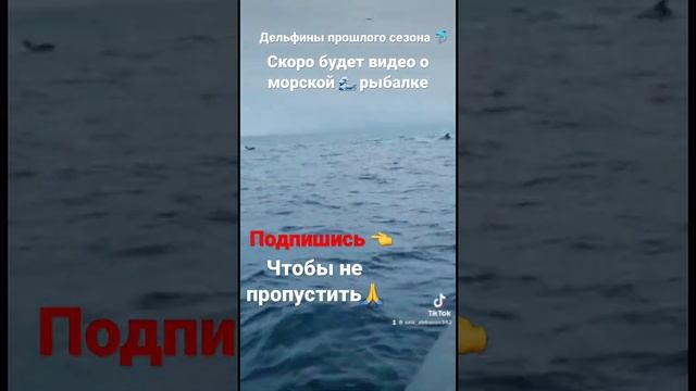 Морская рыбалка , шоу дельфинов в Баренцевом море ?