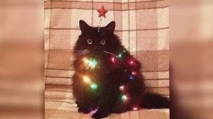 || speed up!! || ??? — Ёлка, шарики, хлопушки