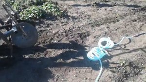 Окучивание картошки мотоблоком 2018.