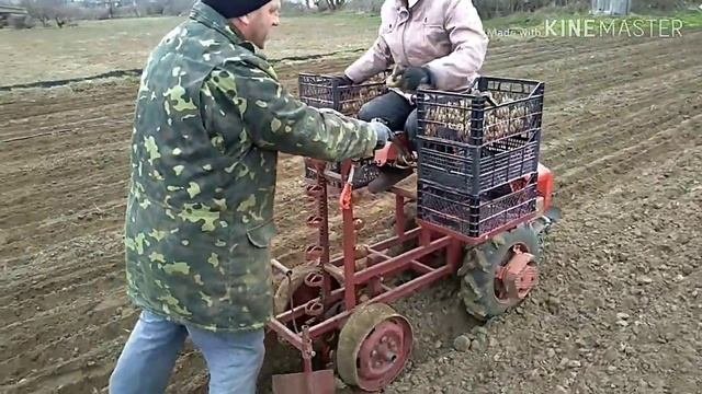 Картофелесажалка. Мотоблок СИЧ.
