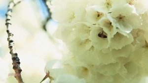 От зари до зари   НОВАЯ ХРИСТИАНСКАЯ ПЕСНЯ