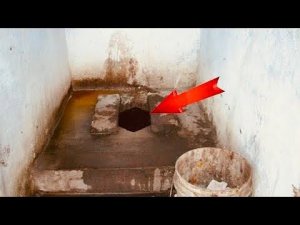 ВСЮ ЖИЗНЬ этот пёс прожил в ТУАЛЕТНОЙ ЯМЕ не видя белого света! А через час он не узнал сам себя