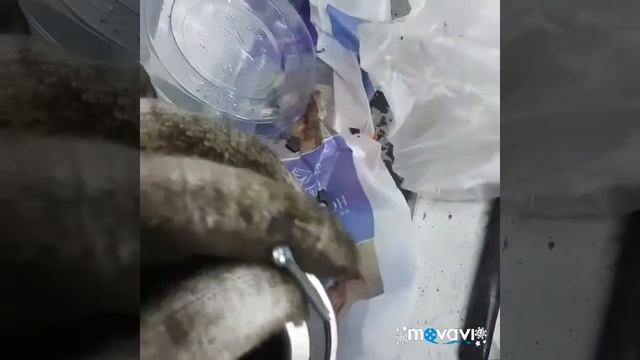 Ступичный подшипник Какой стороной запрессовать ABS