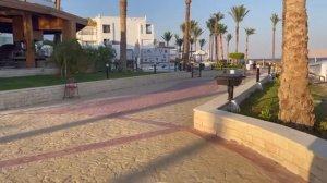 Sunrise Remal Beach 5* (Египет, Шарм-Эль-Шейх) - Обзор отеля: Территория 🇪🇬 ONETOUR