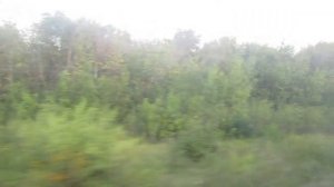 Прибытие на станцию Касторная-Новая