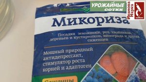 Бесплатное живое удобрение для всех! Разбор сразу ДВУХ препаратов. Стоит ли покупать микоризу?