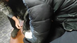 !!! руководство!!!!!! как правильно взвесить собаку большой породы!!!