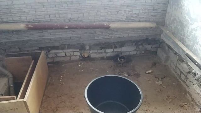 Пол по грунту. Черновая стяжка серия 1