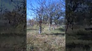 MOV 0000051 дизайн цветочных горшков