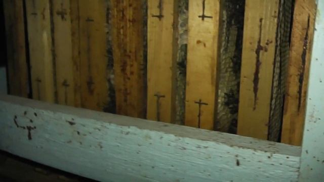 пчёлы без улья в комнате. Зимовка началась смотреть онлайн