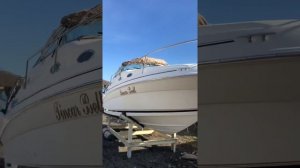 Обзор катера из Японии Searay 240