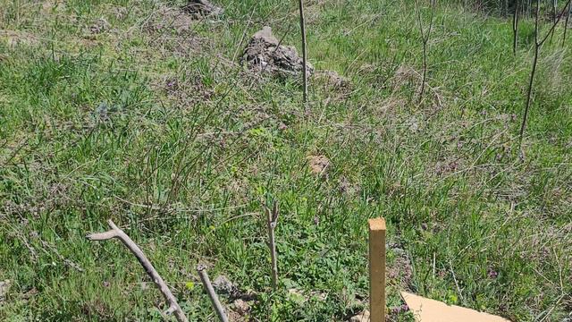 дикари в деле смотреть онлайн