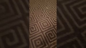что делать если пролил воду на ковёр?