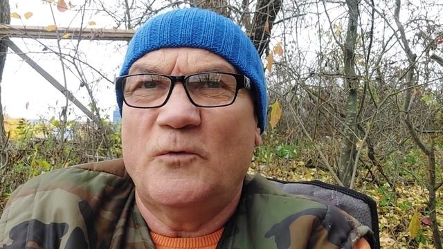 Как стартануть в пчеловодстве, как научится извлекать прибыль? смотреть онлайн