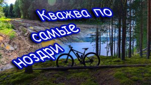 Кважва по самые ноздри