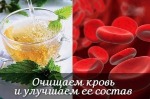 **Кровь без токсинов: 10 народных рецептов для чистки организма!**