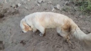 Отдых в Приморье. Красота в простоте. Суворово