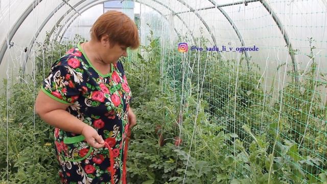 Таких Арбузов У Меня Еще Не Было! Советы От Подписчиков Работают!