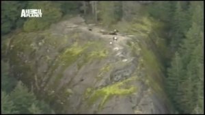 Дикие и опасные животные