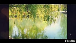 Ивушки вы ивушки. Караоке