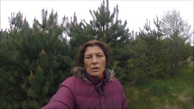 Про одиночество и детей в деревне // Жизнь на хуторе смотреть онлайн