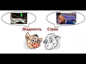 Жадность инвесторов