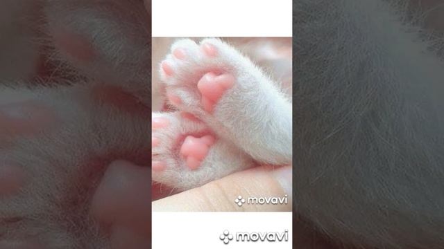 Музыкальное занятие 1. Ясельная группа смотреть онлайн