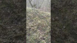 Легенды Крыма-2022, кросс-классика, местность Фуна, пятый день соревнований по ориентированию