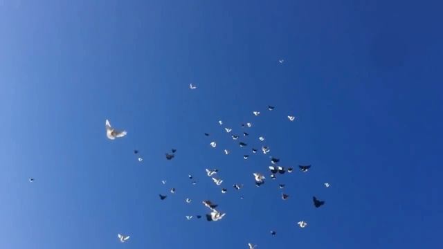 Как преодолеть ссоры в семье. Молитва от ссор в семье. Семейные конфликты. Семейная психология