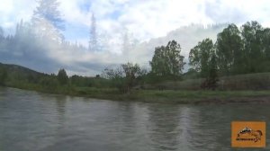 Река Белая, рыбалка на хариуса / Рыбалка на Алтае.