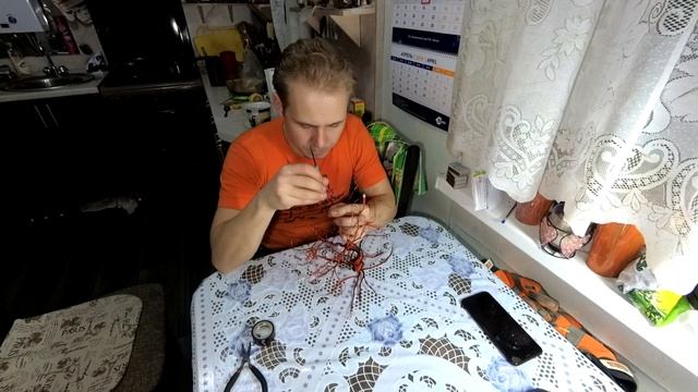 Дерево бонсай